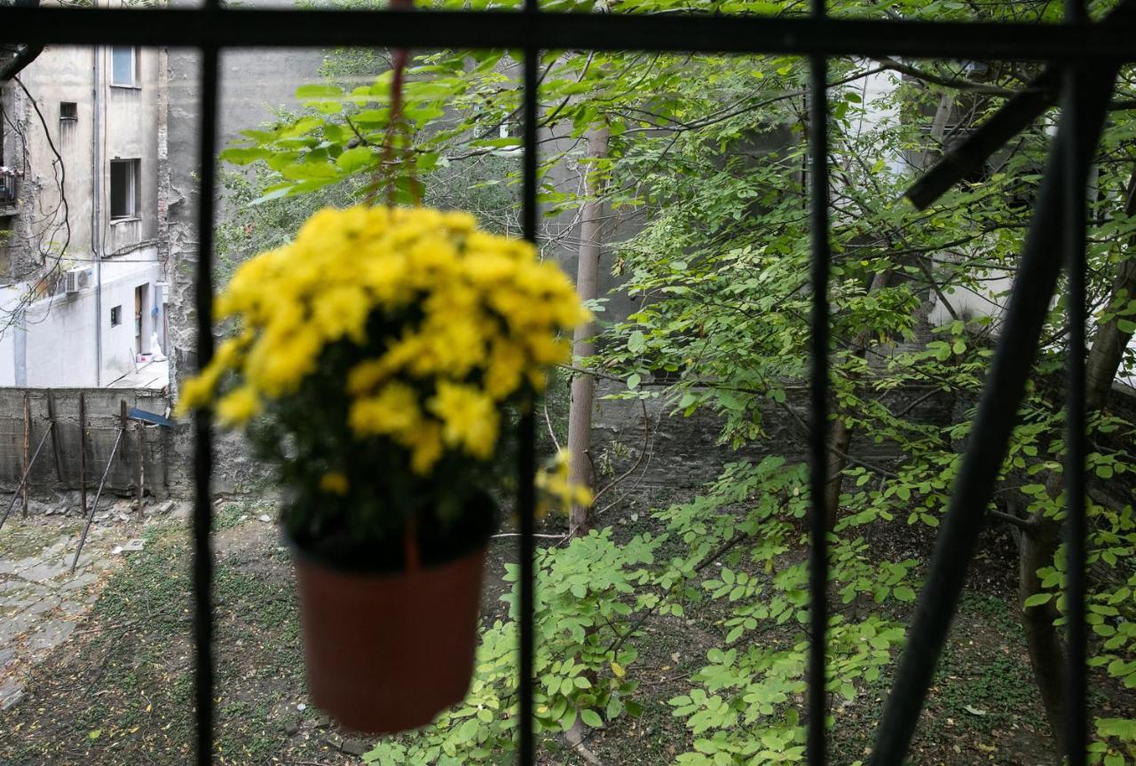 Natalie's Place